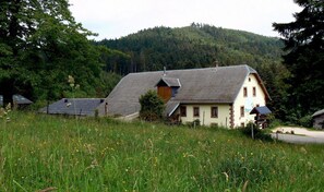 Una cabaña tradicional con techo inclinado, rodeada por un campo verde exuberante y una colina arbolada.