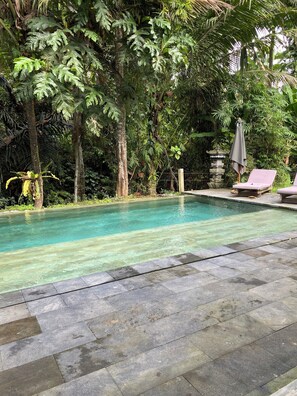 Outdoor pool - The CIVYT (Ubud)
