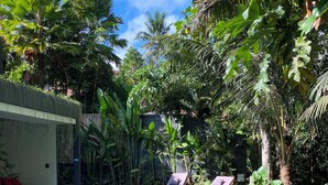 Piscina translúcida com espreguiçadeiras, cercada por vegetação exuberante e um muro de pedra.