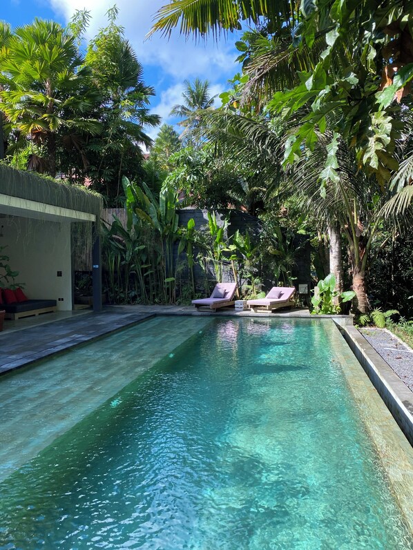 A clear swimming pool with lounge chairs, surrounded by lush greenery and a stone wall. - The CIVYT (Ubud)