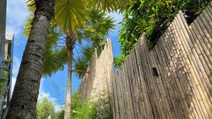 Um caminho de concreto estreito, ladeado por paredes de bambu e palmeiras, conduzindo a uma escadaria de concreto.