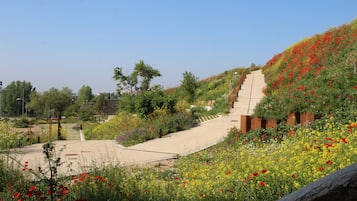 Terrein van de accommodatie