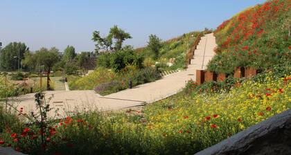 Nuevo Apartamento en Zona del Palacio de Congresos