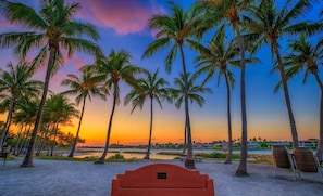 Une plage bordée de palmiers, avec un coucher de soleil.