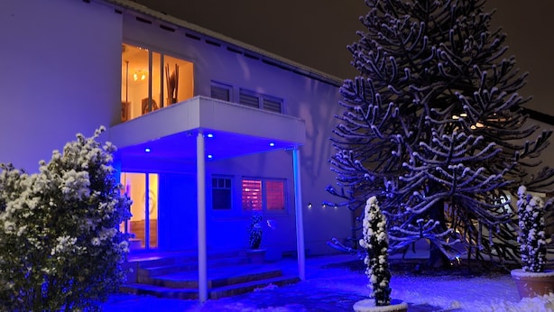 Een modern gebouw met een overdekt terras, besneeuwde planten en een grote boom.