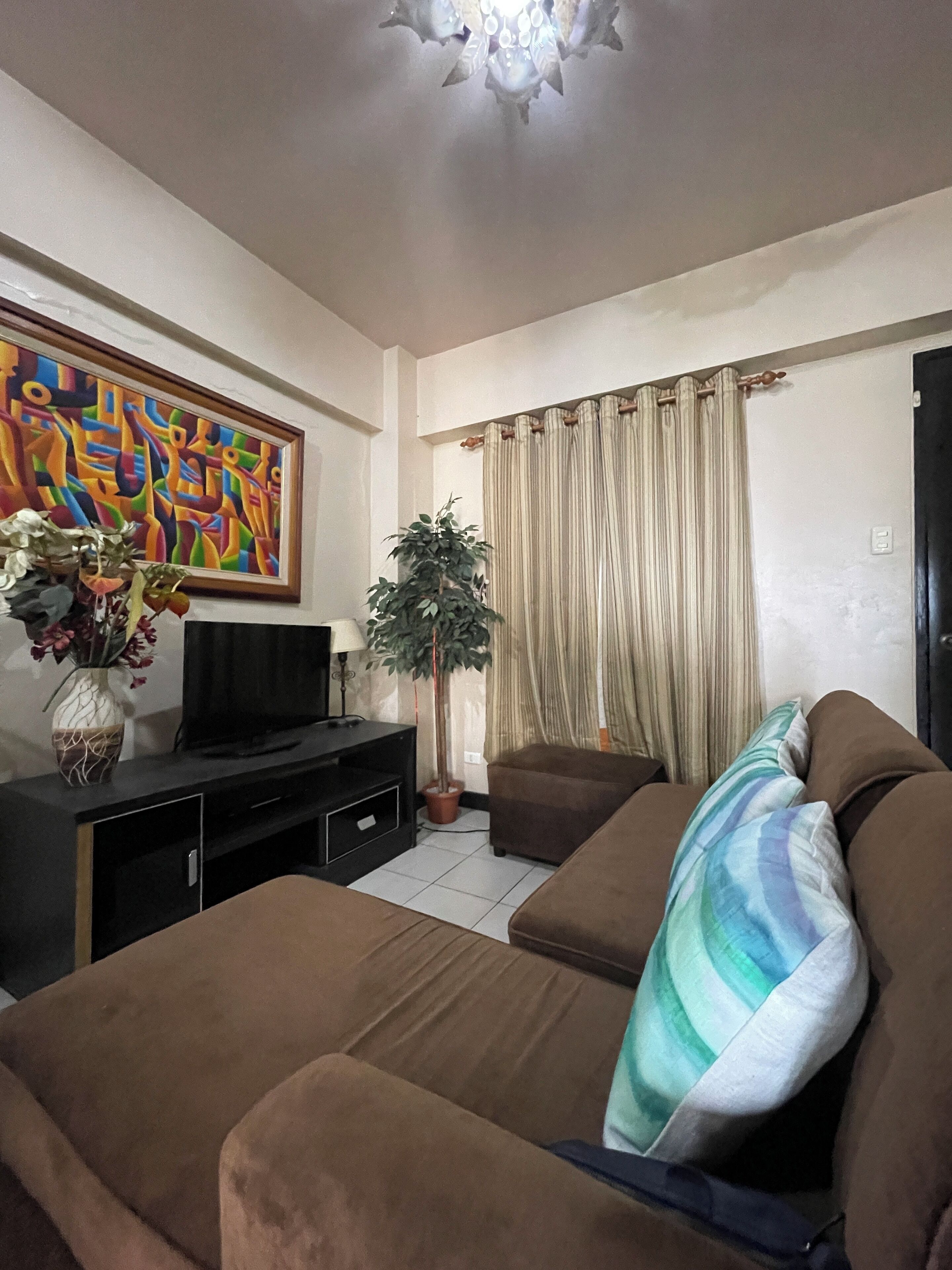 Televisión, reproductor de DVD