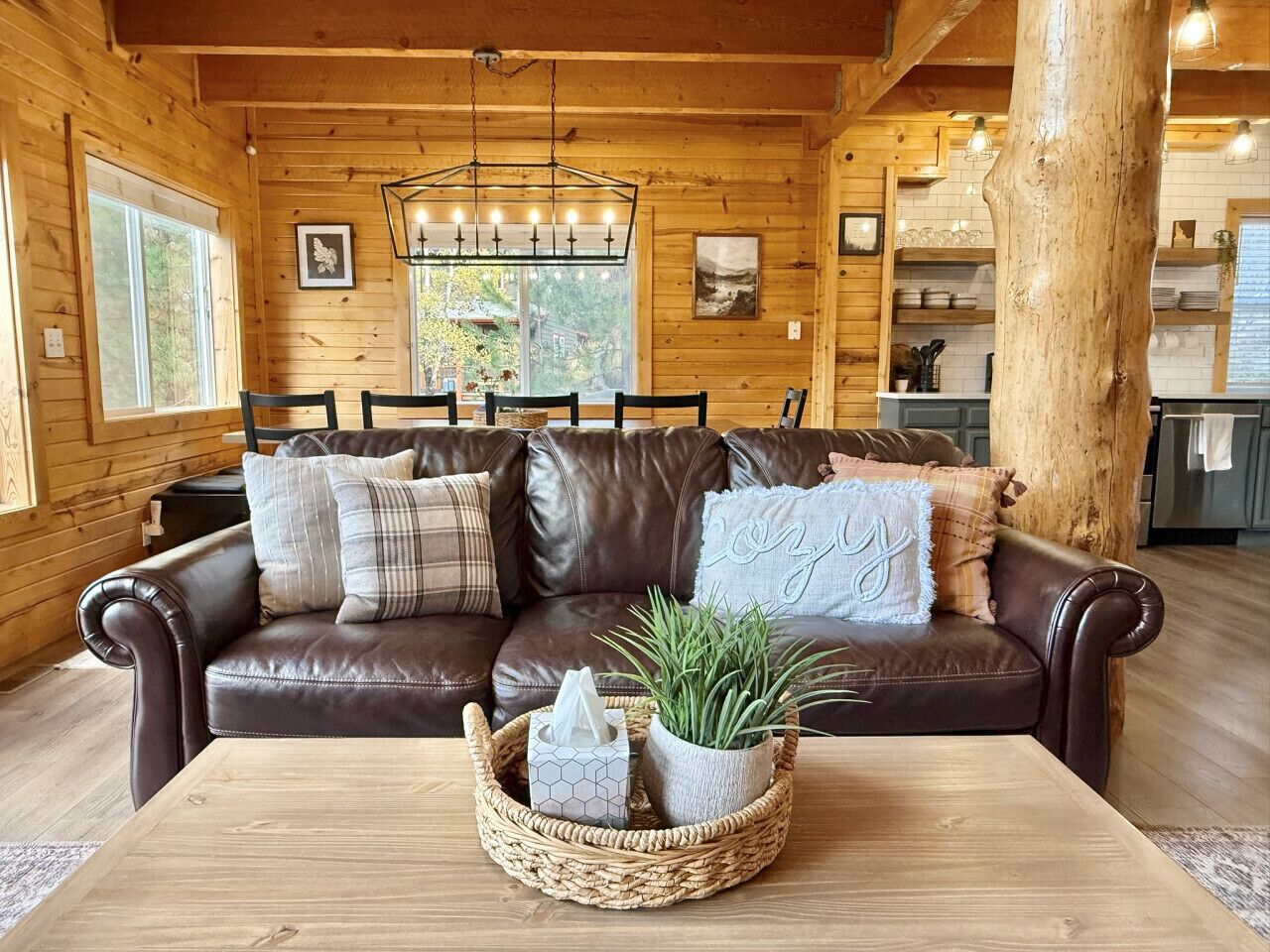 Smart TV, fireplace, DVD player, books