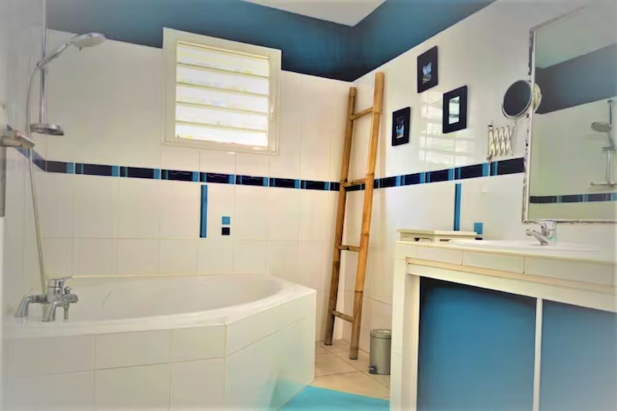 Une salle de bain avec une baignoire, une fenêtre, un miroir et un porte-serviettes.