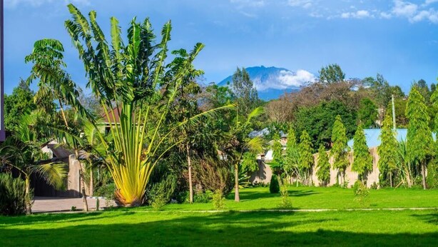 A lush garden with a variety of tropical plants and a mountain in the background. - Elanacha Hotel (Arusha)