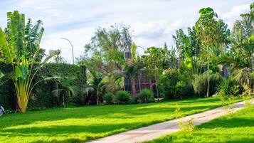 Ein üppiger Garten mit verschiedenen tropischen Pflanzen und einem gepflasterten Weg.