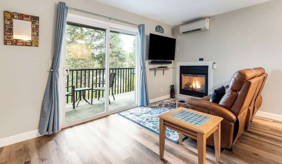 TV, fireplace, books