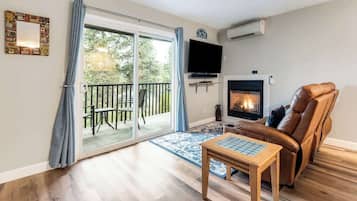 TV, fireplace, books