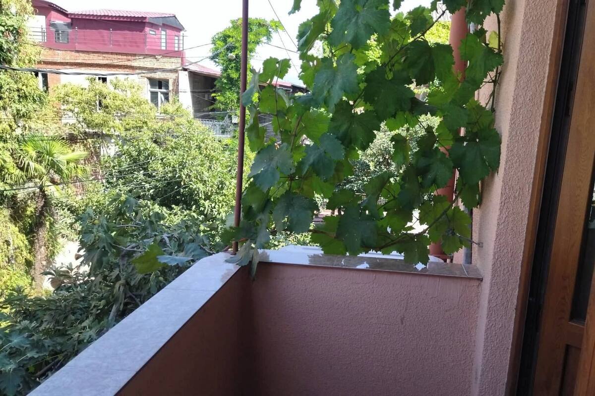 A balcony with a view of a garden and a building in the background.