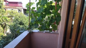 舒適公寓 | 1 間臥室、熨斗/熨衣板、免費無線上網、床單
