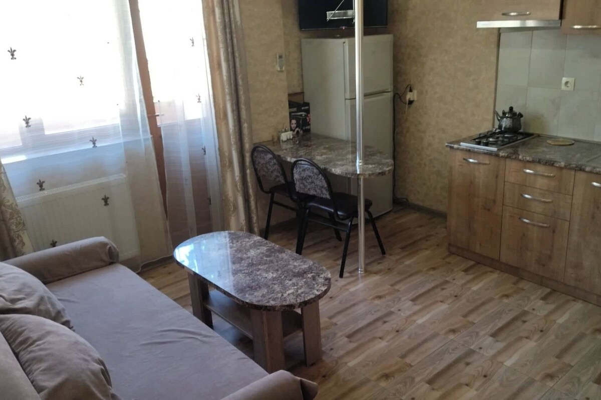 A compact living space with a kitchenette, a dining area with chairs, and a sofa.