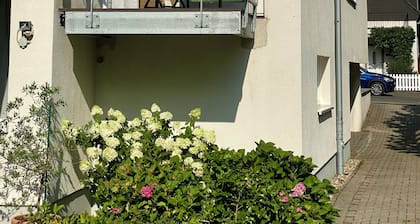 Living in a studio - Living in a Studio