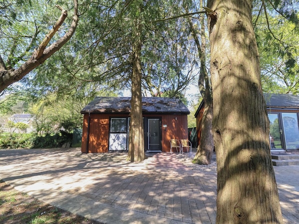 A small wooden cabin with a metal roof, surrounded by trees and a paved walkway.