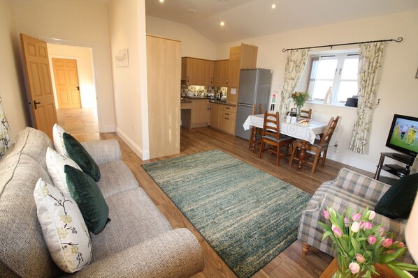 Televisión, reproductor de DVD y libros 