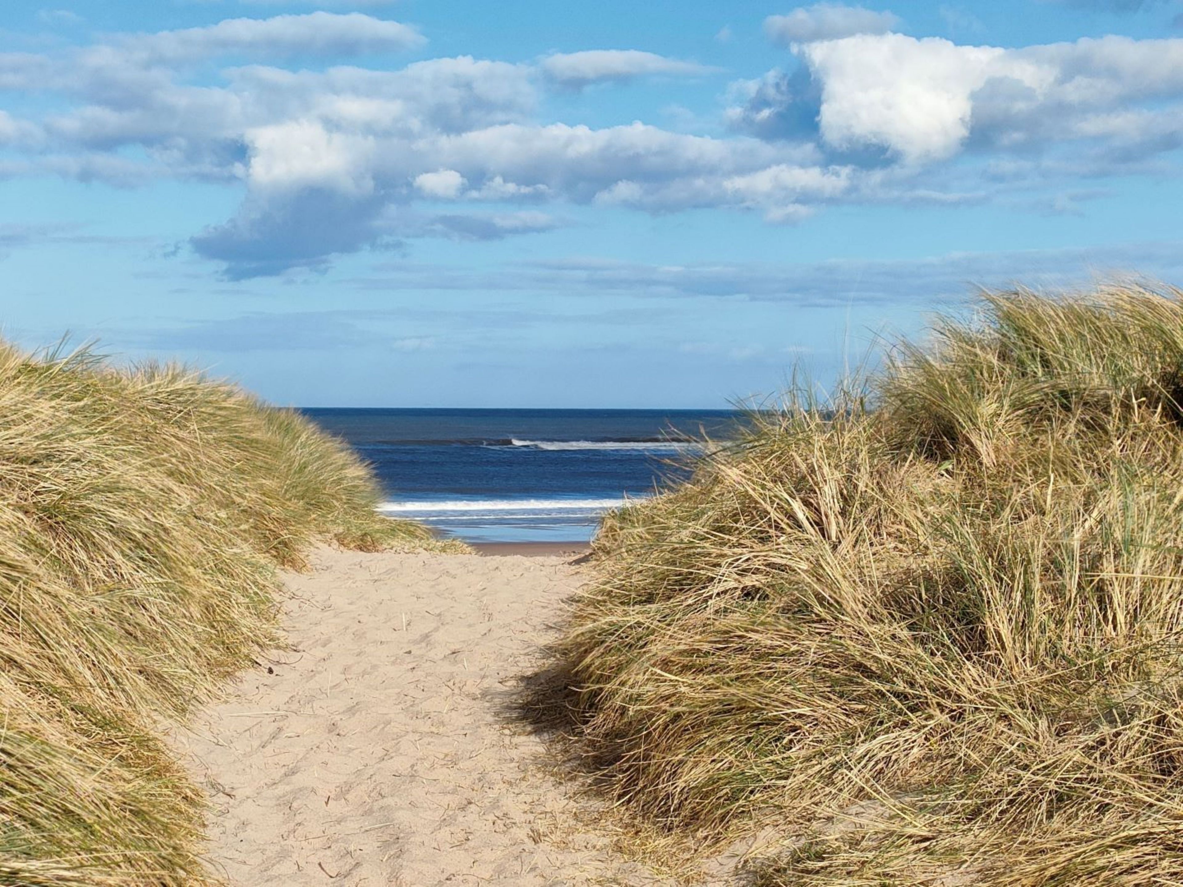 Un sentier sablonneux menant à l’océan, bordé de dunes herbeuses.