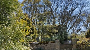 A garden pathway leading to a stone wall with a wooden gate, surrounded by lush greenery and flowering plants. - Honeysuckle Cottage - one‑bedroom, dog‑friendly cottage with countryside feel (Cramlington)