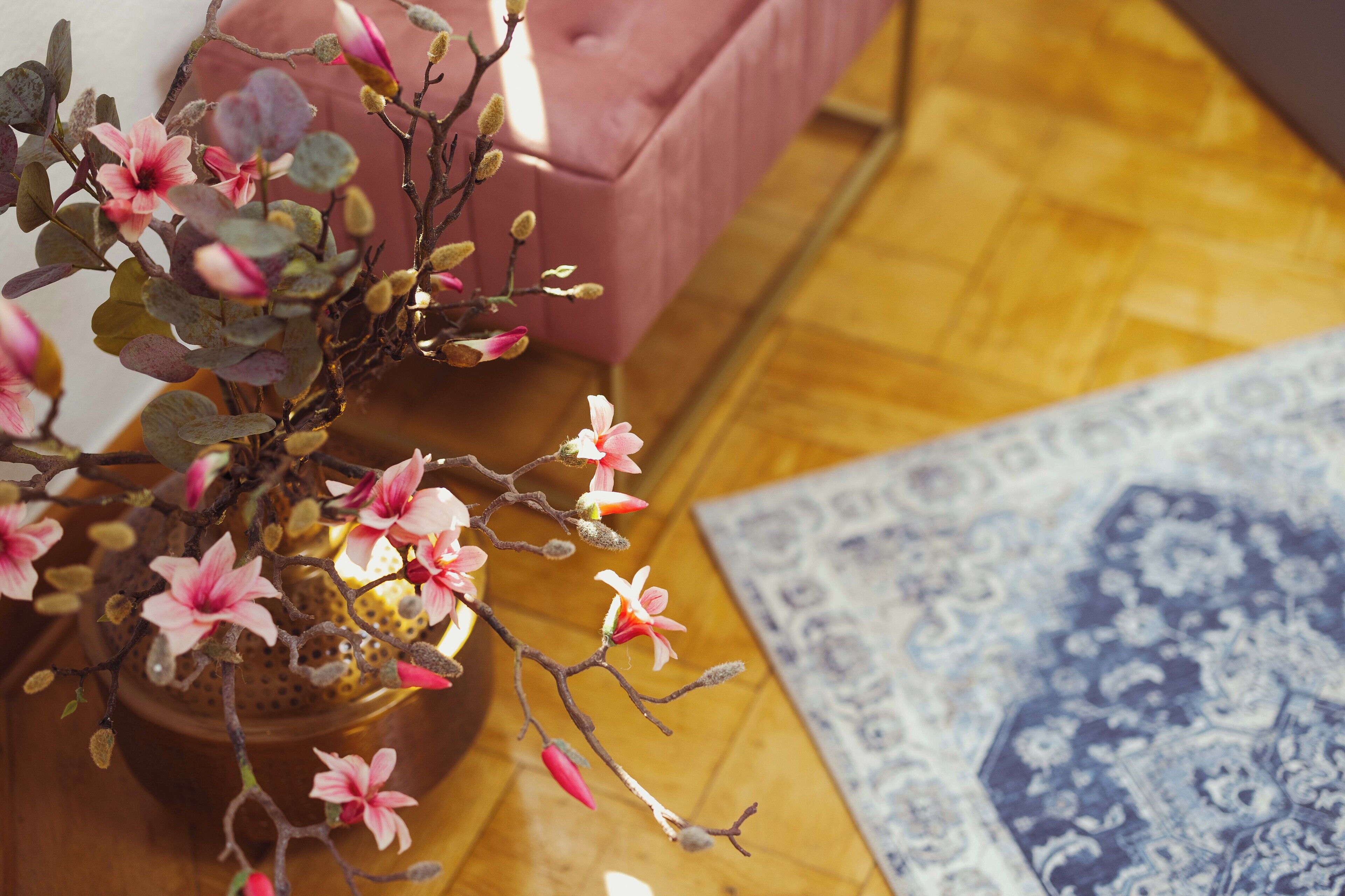 Une plante en pot aux fleurs roses, posée sur un plancher en bois, à côté d’un canap é rose et d’un tapis bleu à motifs.
