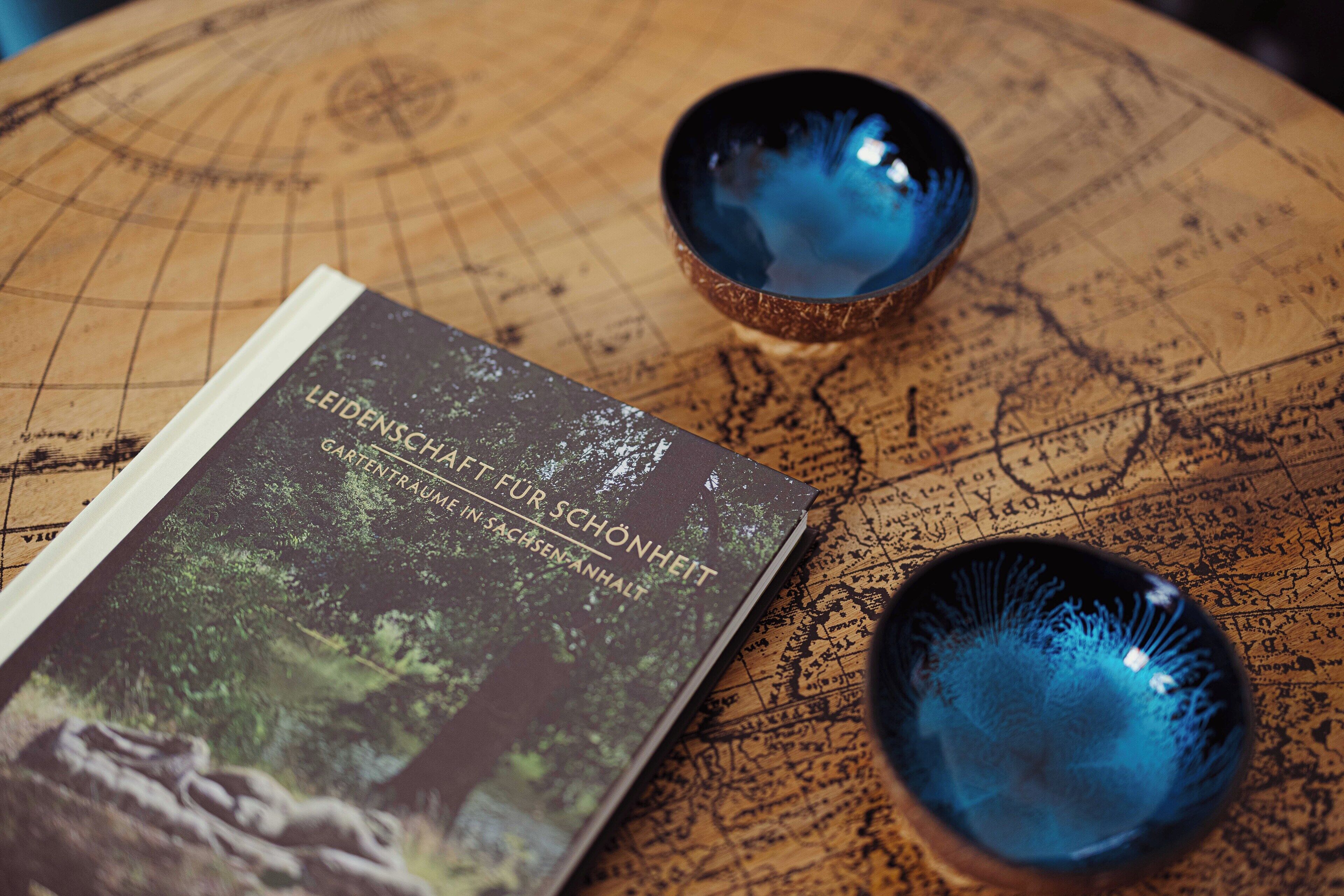 A book titled "LEIDENSCHAFT FÜR SCHÖNHÖHHE" on a wooden surface with a map.