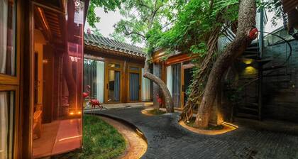 Beijing bushe courtyard