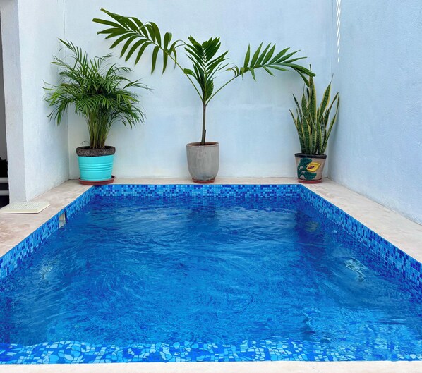 Pool - LISTING: Excellent private home, pool, barbecue, garden (Ciudad valles)