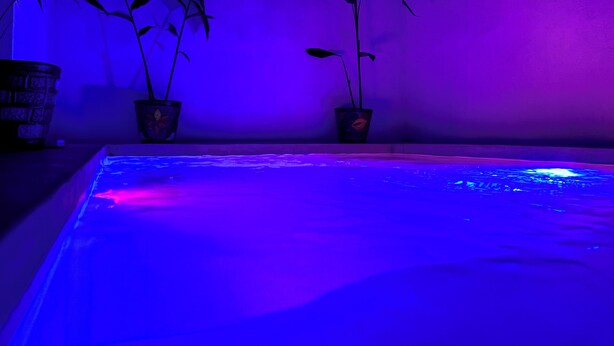 A room with a large rectangular water feature in the foreground, two potted plants on a shelf, and a textured wall.