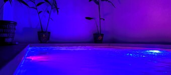 OFFER Excellent Private Residential House, Swimming Pool, Barbecue, Garden