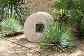 Stroll through the serene garden surrounded by lush yucca plants and a rustic stone wall.