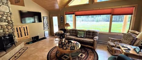 Televisor, llar de foc i reproductor de DVD