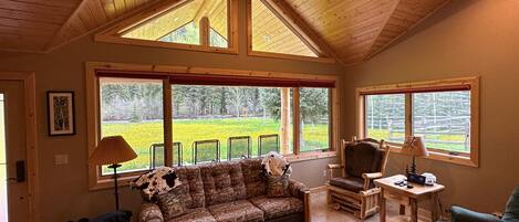 Televisión, chimenea y reproductor de DVD