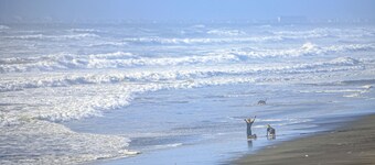 Oceanfront, dog-friendly condo with sunset view & prime walkable location