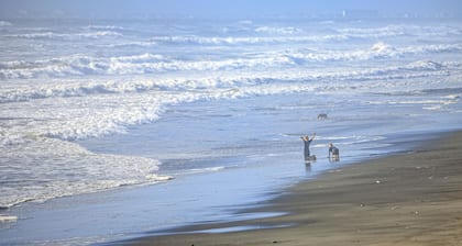 Oceanfront, dog-friendly condo with sunset view & prime walkable location