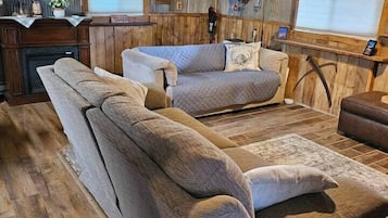 Smart TV, fireplace, books