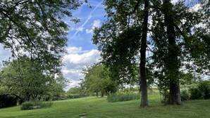 A grassy pathway with trees and wildflowers.