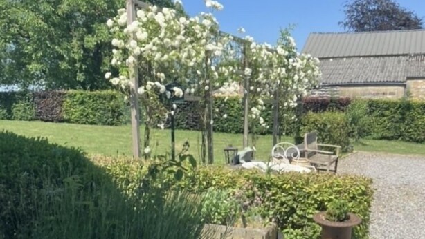 A garden with white flowering plants, a stone pathway, and a rustic building in the background.