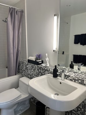 Hair dryer, towels, soap, toilet paper