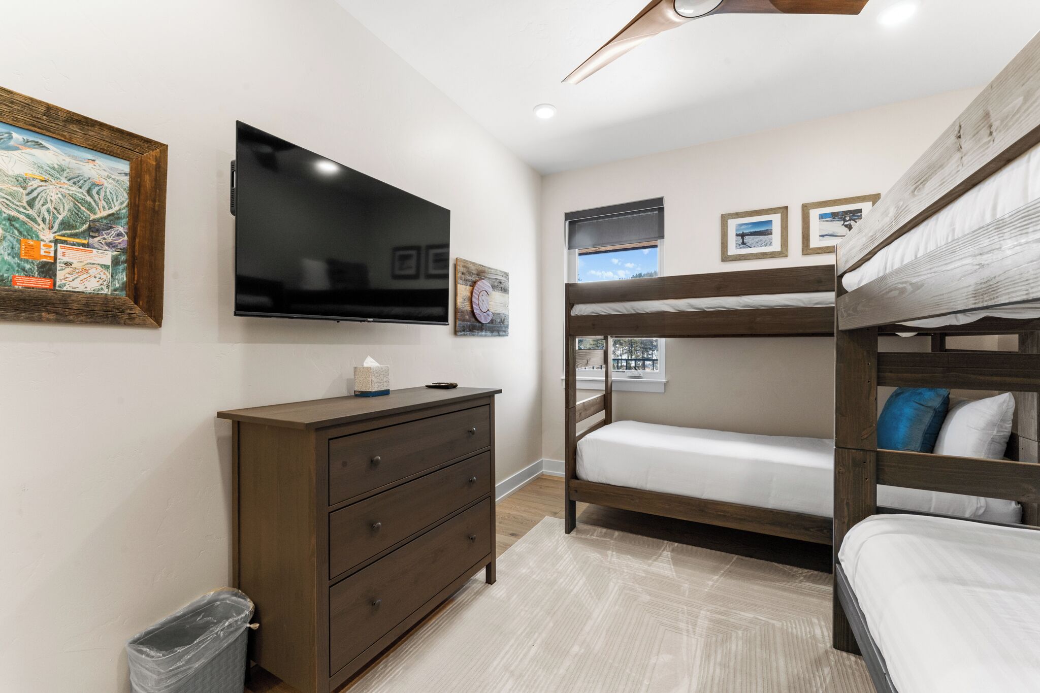A bedroom with a bunk bed, a TV, a dresser, and a framed picture on the wall.