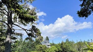 Une maison entourée d’une forêt et d’une rivière.