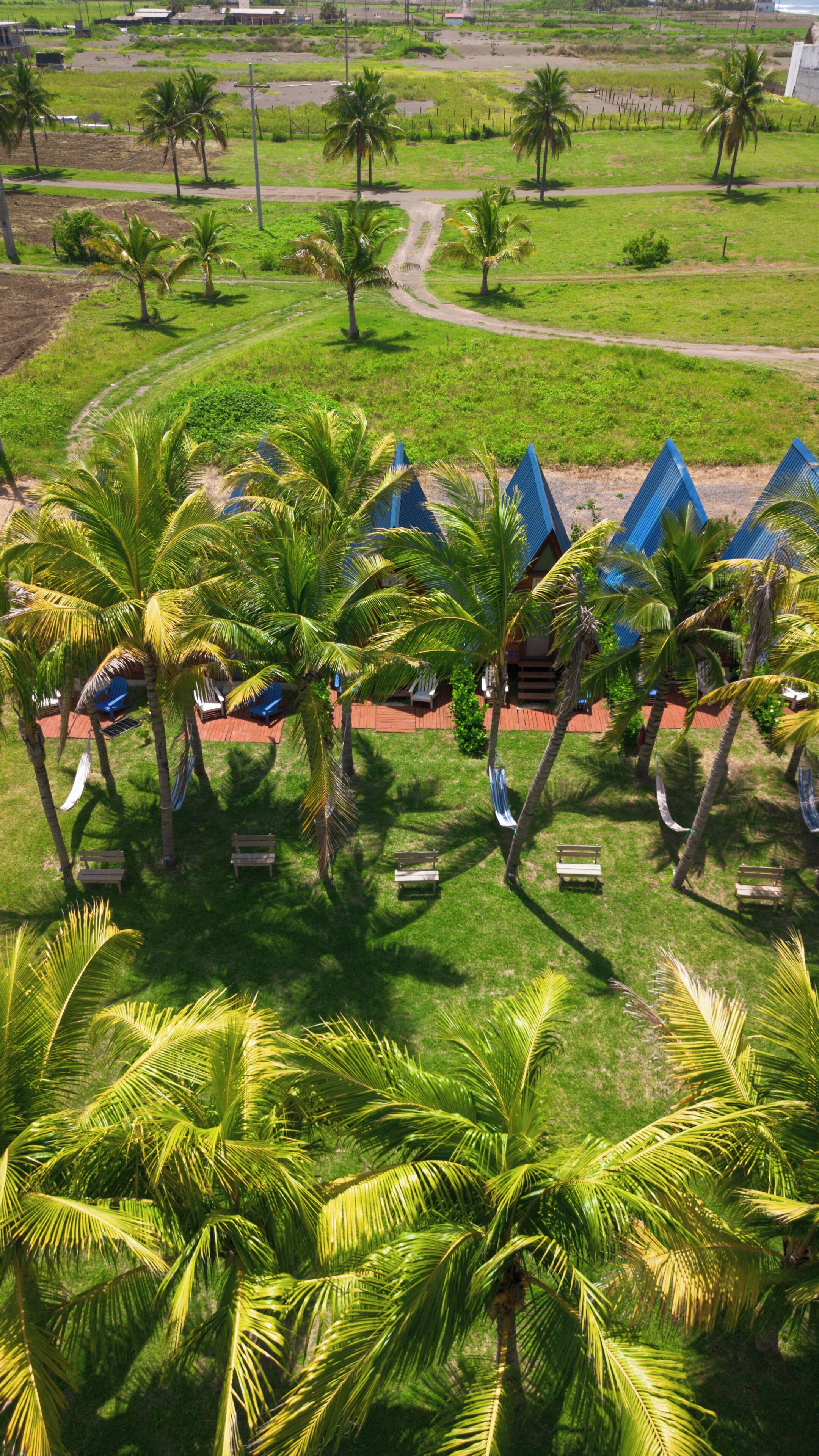 Un resort con palmeras, mobiliario exterior y vistas del paisaje circundante.