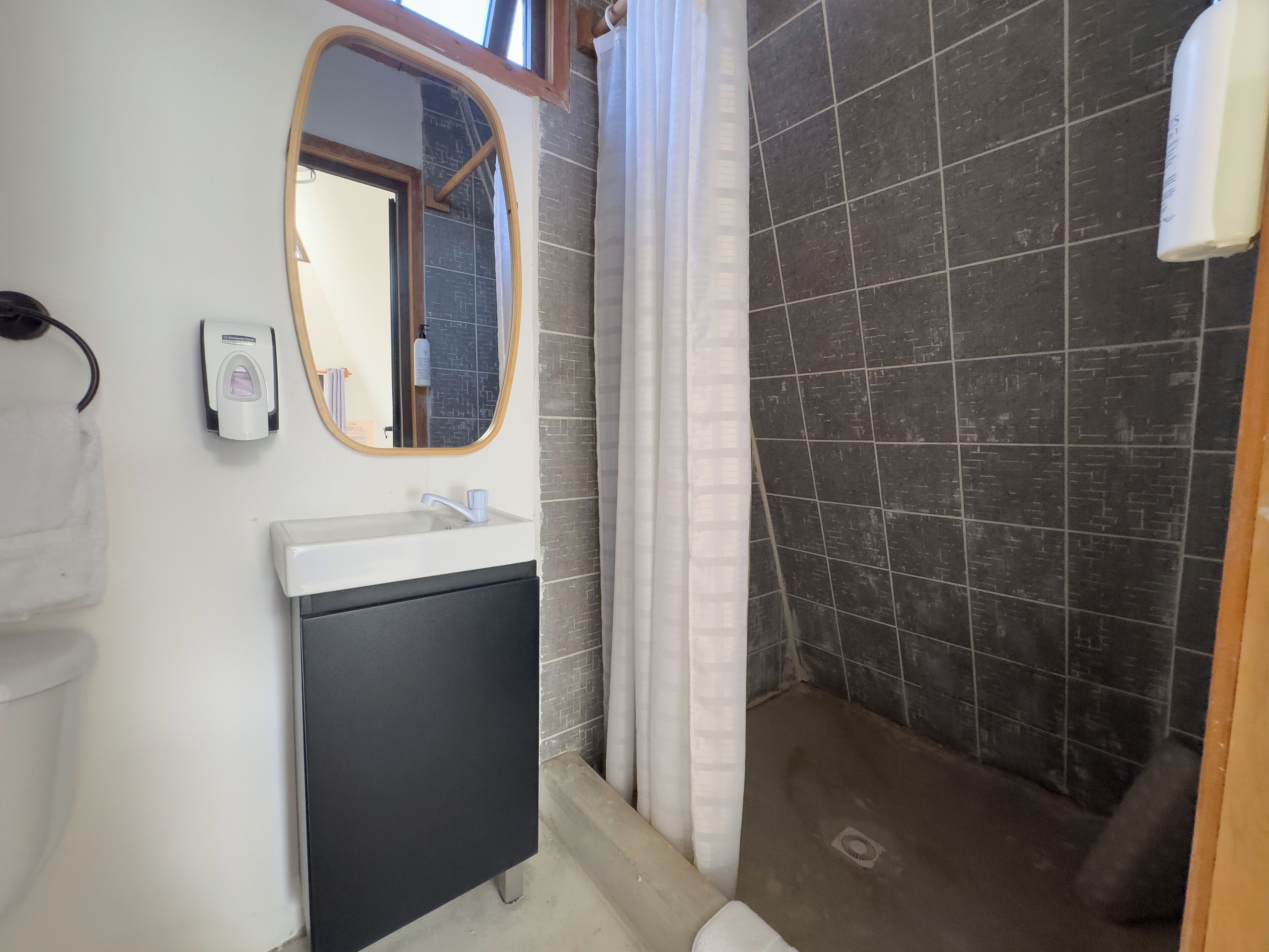 Shower, soap, toilet paper