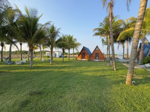 A grassy area with palm trees and two wooden cabins.