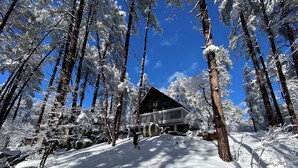 A cabin surrounded by snow-covered trees, with a clear blue sky above. - Silver King Cabin. 6,200 ft of elevation. 10 minutes from downtown Prescott.  (Prescott)