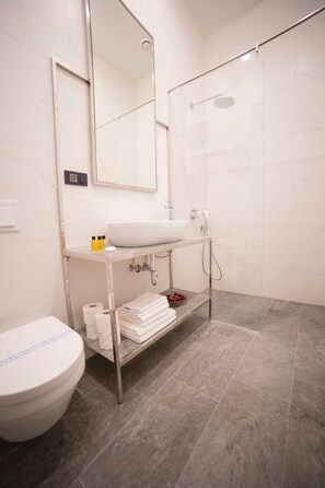 Regadera, secadora de cabello, bidet, toallas