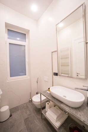 Shower, hair dryer, bidet, towels