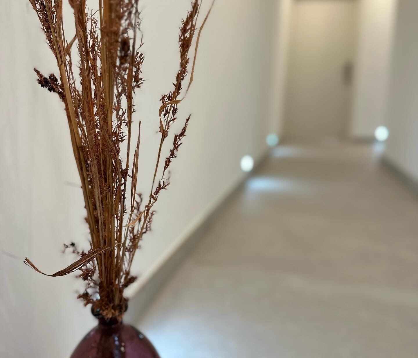 A hallway with a vase of dried plants on the left.