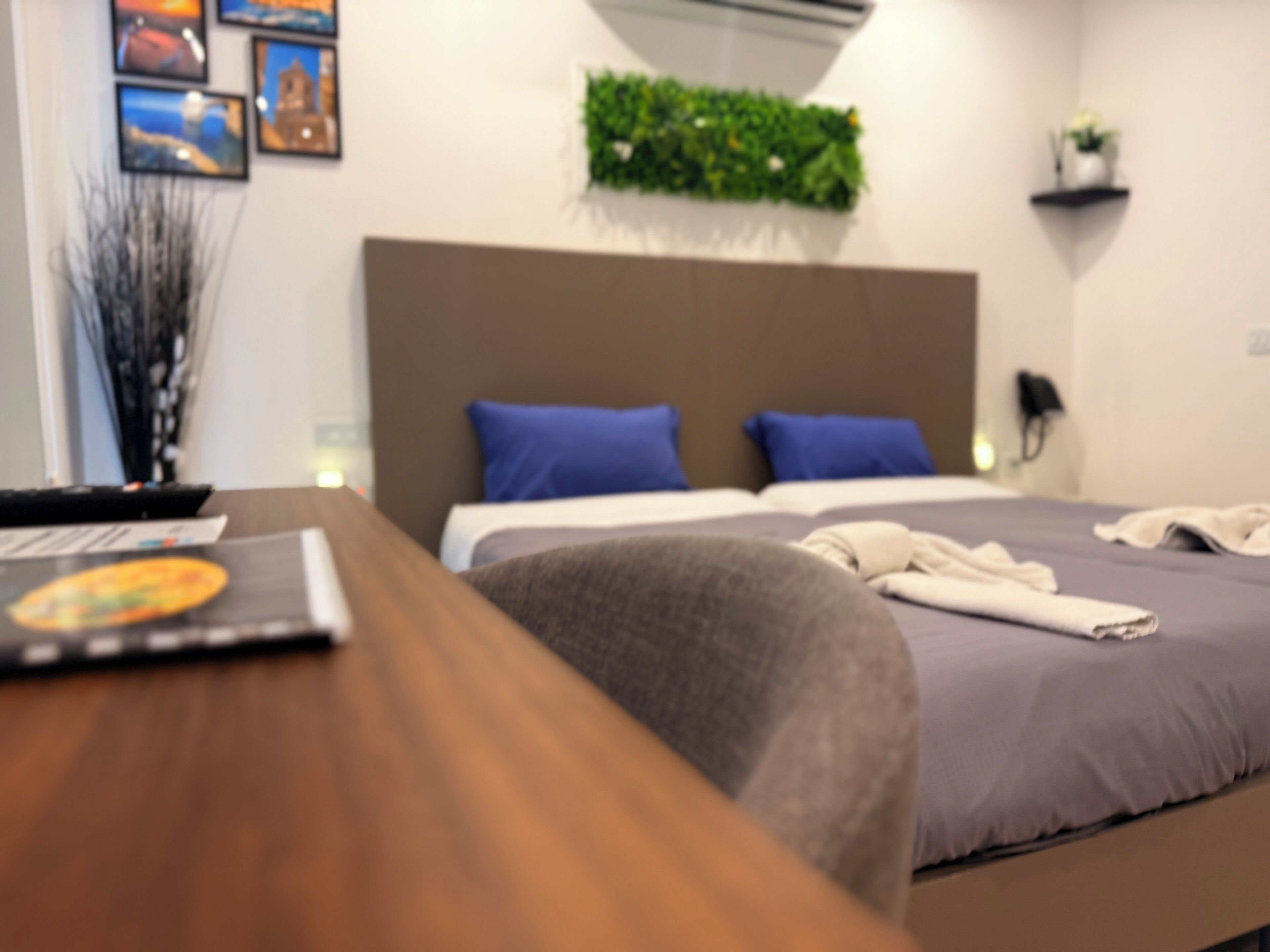 Una habitación de hotel con una cama, un escritorio y una planta colgada en la pared.