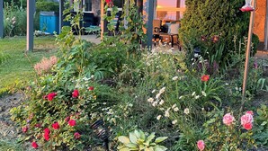 Un espacio al aire libre techado con terraza de madera, un pino alto y diversas plantas con flores.
